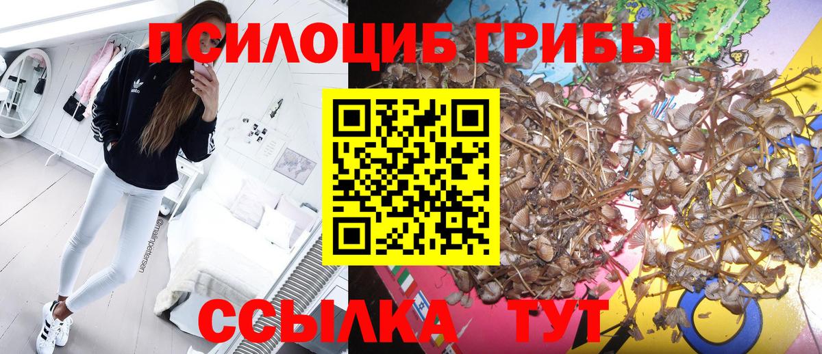 Псилоцибиновые грибы мухоморы  Вход с VPN  Трёхгорный 