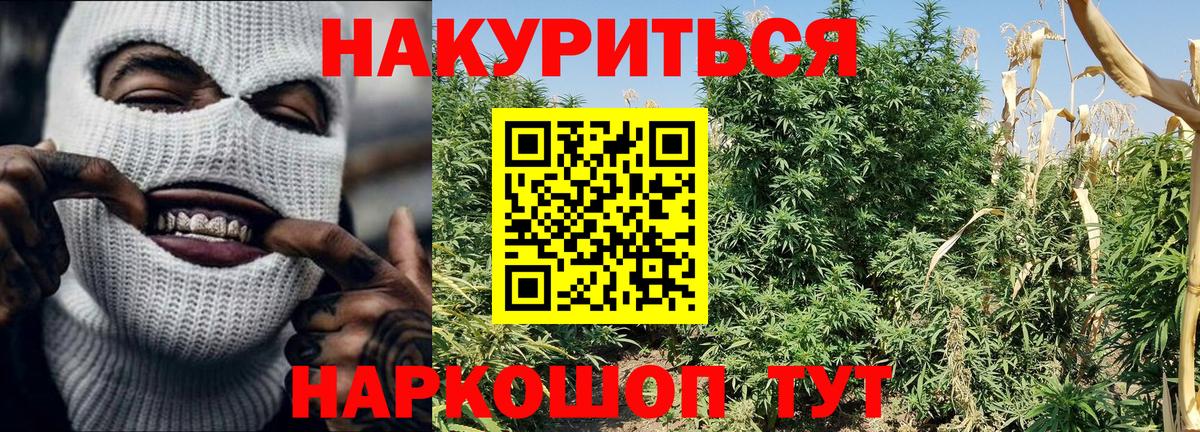 МАРИХУАНА SATIVA & INDICA Трёхгорный